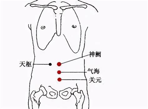 氣海關元位置|氣海穴